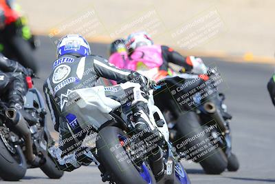media/Mar-10-2024-SoCal Trackdays (Sun) [[6228d7c590]]/9-Turn 8 Backside (1150am)/